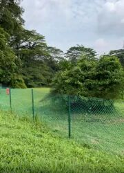 Tanglin Hill (D10), Detached #458917031